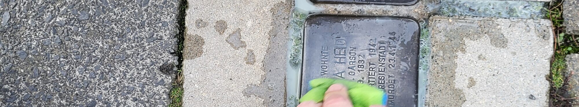 zwei Stolpersteine die mit Schwämmen gereinigt werden