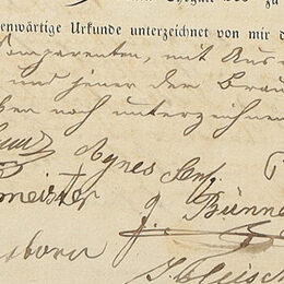 Eine alte Geburtsurkunde mit der Unterschrift von Agnes Senf